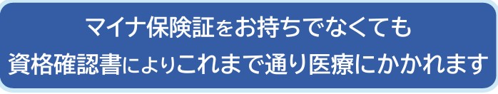 画像の説明